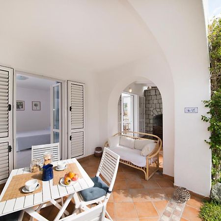 Casa Agave Lejlighed Forio di Ischia Eksteriør billede